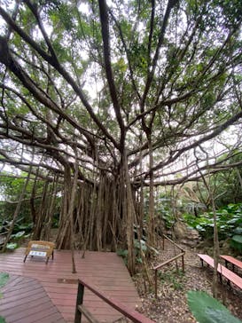 アスムイハイクスに投稿された画像（2020/1/18）