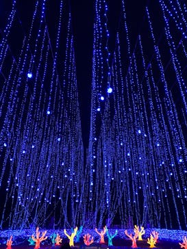 さがみ湖MORI MORIに投稿された画像（2020/1/18）