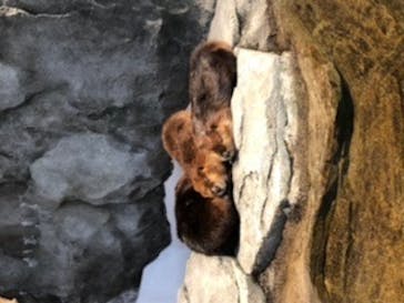 NIFREL（ニフレル）に投稿された画像（2020/1/18）