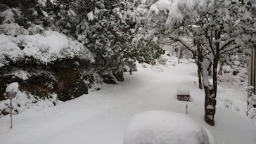 箱根湯の花プリンスホテルに投稿された画像（2020/1/18）