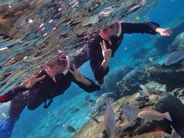 ダイビングショップ Sea Free（シーフリー）に投稿された画像（2020/1/19）