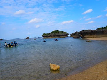 ダイビングショップ Sea Free（シーフリー）に投稿された画像（2020/1/19）