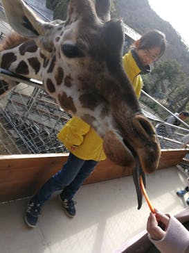 しろとり動物園に投稿された画像（2020/1/19）