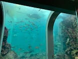下田海中水族館に投稿された画像（2020/1/19）