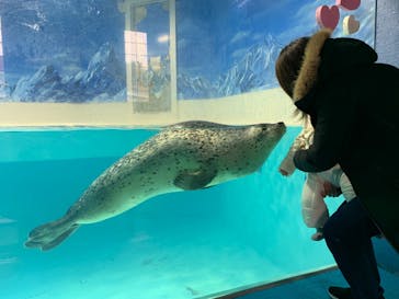 下田海中水族館に投稿された画像（2020/1/19）