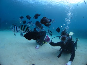 ドロップイン 沖縄に投稿された画像（2020/1/19）