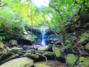 西表島 ADVENTURE PiPi（アドベンチャーピピ）に投稿された画像（2020/1/19）