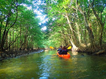 西表島 ADVENTURE PiPi（アドベンチャーピピ）に投稿された画像（2020/1/19）