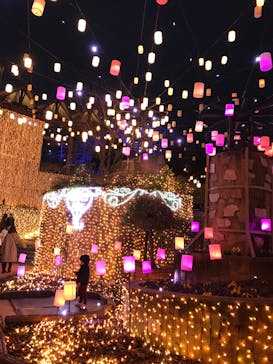 ひらかたパークに投稿された画像（2020/1/19）