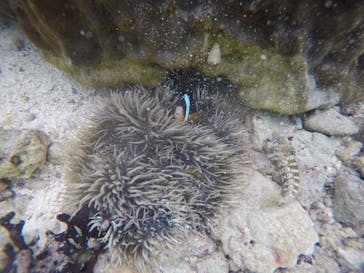 武藤潜水に投稿された画像（2020/1/19）