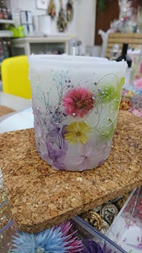 ずこうしつ〜sugamo〜に投稿された画像（2020/1/20）