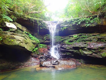 西表島 ADVENTURE PiPi（アドベンチャーピピ）に投稿された画像（2020/1/20）