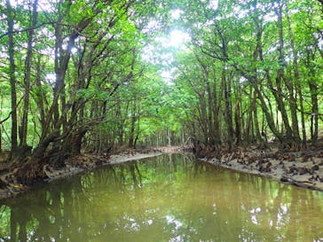 西表島 ADVENTURE PiPi（アドベンチャーピピ）に投稿された画像（2020/1/20）