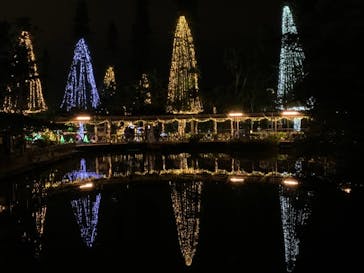 美らヤシパークオキナワ・東南植物楽園に投稿された画像（2020/1/20）