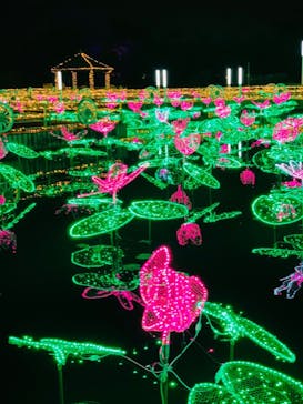 美らヤシパークオキナワ・東南植物楽園に投稿された画像（2020/1/20）