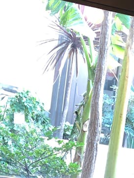 スパロイヤル川口に投稿された画像（2020/1/22）