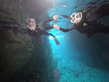 DIVING-SHOP SUNSに投稿された画像（2020/1/22）