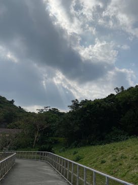 アスムイハイクスに投稿された画像（2020/1/23）