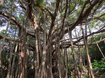 アスムイハイクスに投稿された画像（2020/1/23）