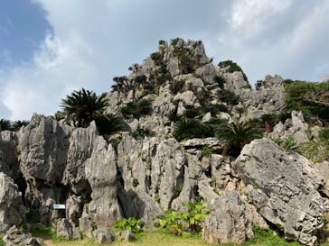 アスムイハイクスに投稿された画像（2020/1/23）