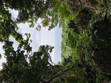 アスムイハイクスに投稿された画像（2020/1/23）