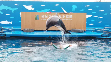 仙台うみの杜水族館に投稿された画像（2020/1/23）