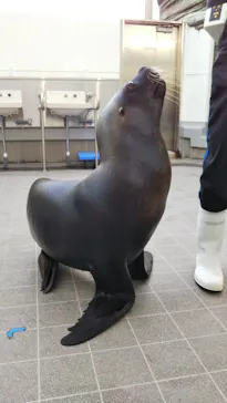 仙台うみの杜水族館に投稿された画像（2020/1/23）