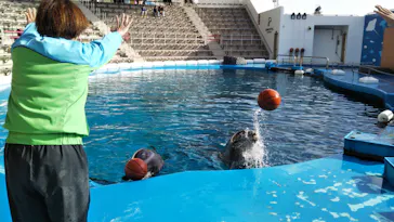 仙台うみの杜水族館に投稿された画像（2020/1/23）