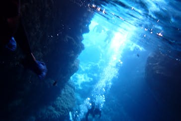 ダイビングショップ Sea Free（シーフリー）に投稿された画像（2020/1/23）