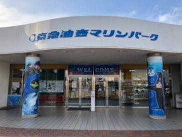 京急油壺マリンパークに投稿された画像（2020/1/23）