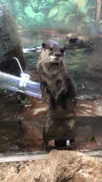 伊豆シャボテン動物公園に投稿された画像（2020/1/24）