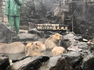 伊豆シャボテン動物公園に投稿された画像（2020/1/24）