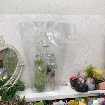 ずこうしつ〜sugamo〜に投稿された画像（2020/1/24）