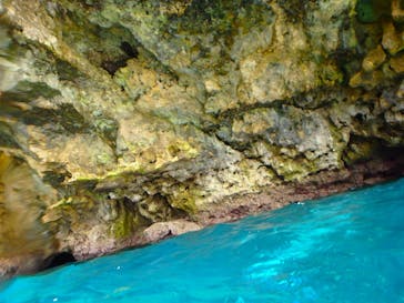 ダイビングショップ Sea Free（シーフリー）に投稿された画像（2020/1/24）