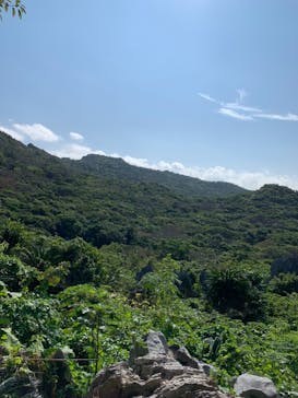 ジャンボツアーズに投稿された画像（2020/1/24）