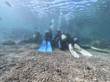 武藤潜水に投稿された画像（2020/1/25）