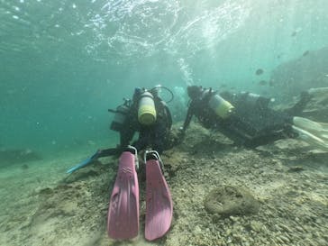 武藤潜水に投稿された画像（2020/1/25）