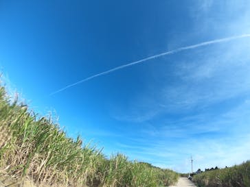 武藤潜水に投稿された画像（2020/1/25）