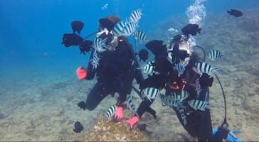 ダイブロックに投稿された画像（2020/1/25）