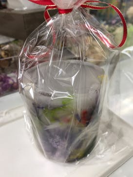 ずこうしつ〜sugamo〜に投稿された画像（2020/1/26）