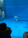 アクアワールド茨城県大洗水族館に投稿された画像（2020/1/26）