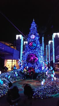 ひらかたパークに投稿された画像（2020/1/26）