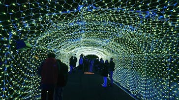 ひらかたパークに投稿された画像（2020/1/26）