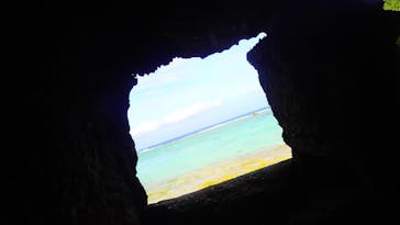 ダイビングショップ Sea Free（シーフリー）に投稿された画像（2020/1/27）