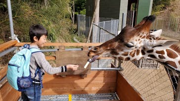 しろとり動物園に投稿された画像（2020/1/27）