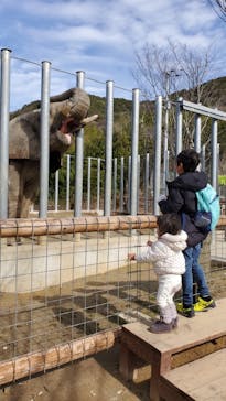 しろとり動物園に投稿された画像（2020/1/27）