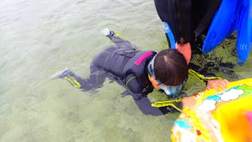 ダイビングショップ Sea Free（シーフリー）に投稿された画像（2020/1/26）