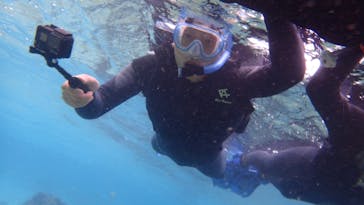 ダイビングショップ Sea Free（シーフリー）に投稿された画像（2020/1/28）