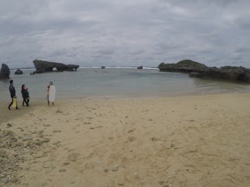 武藤潜水に投稿された画像（2020/1/28）