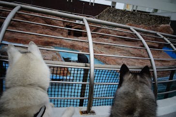 京急油壺マリンパークに投稿された画像（2020/1/28）